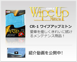 Wipe Up Mitten
