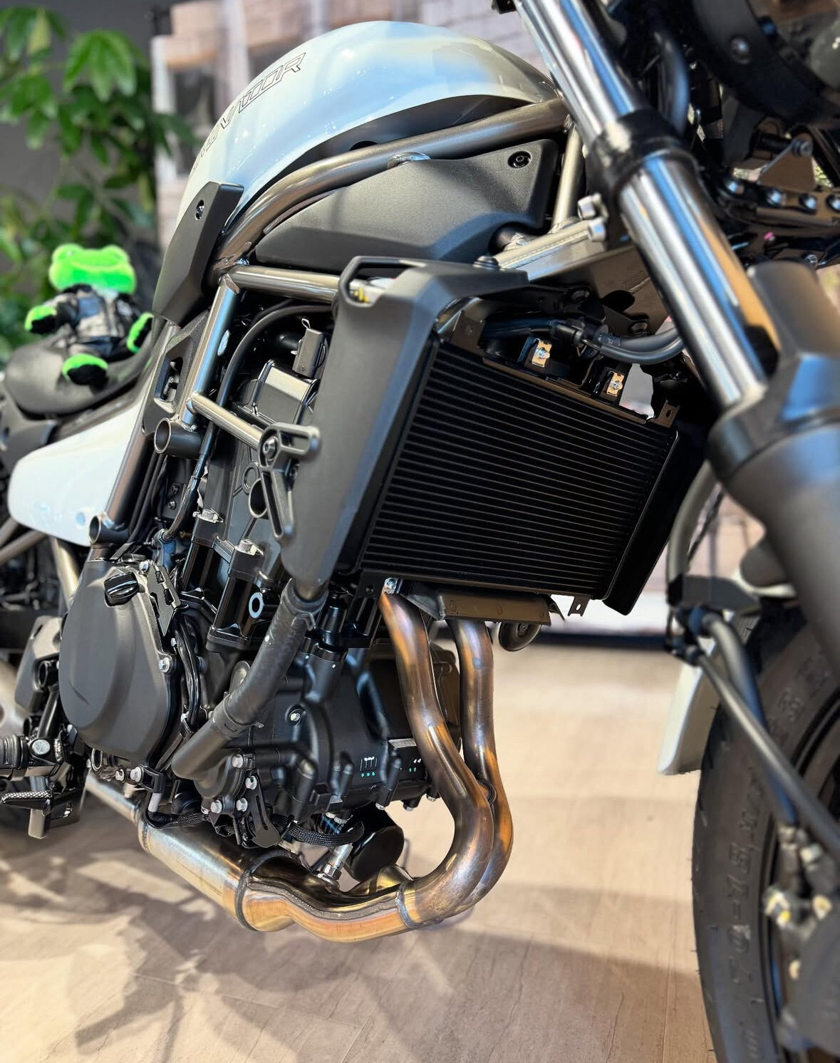 KP鳥栖_ELIMINATOR3.jpg
